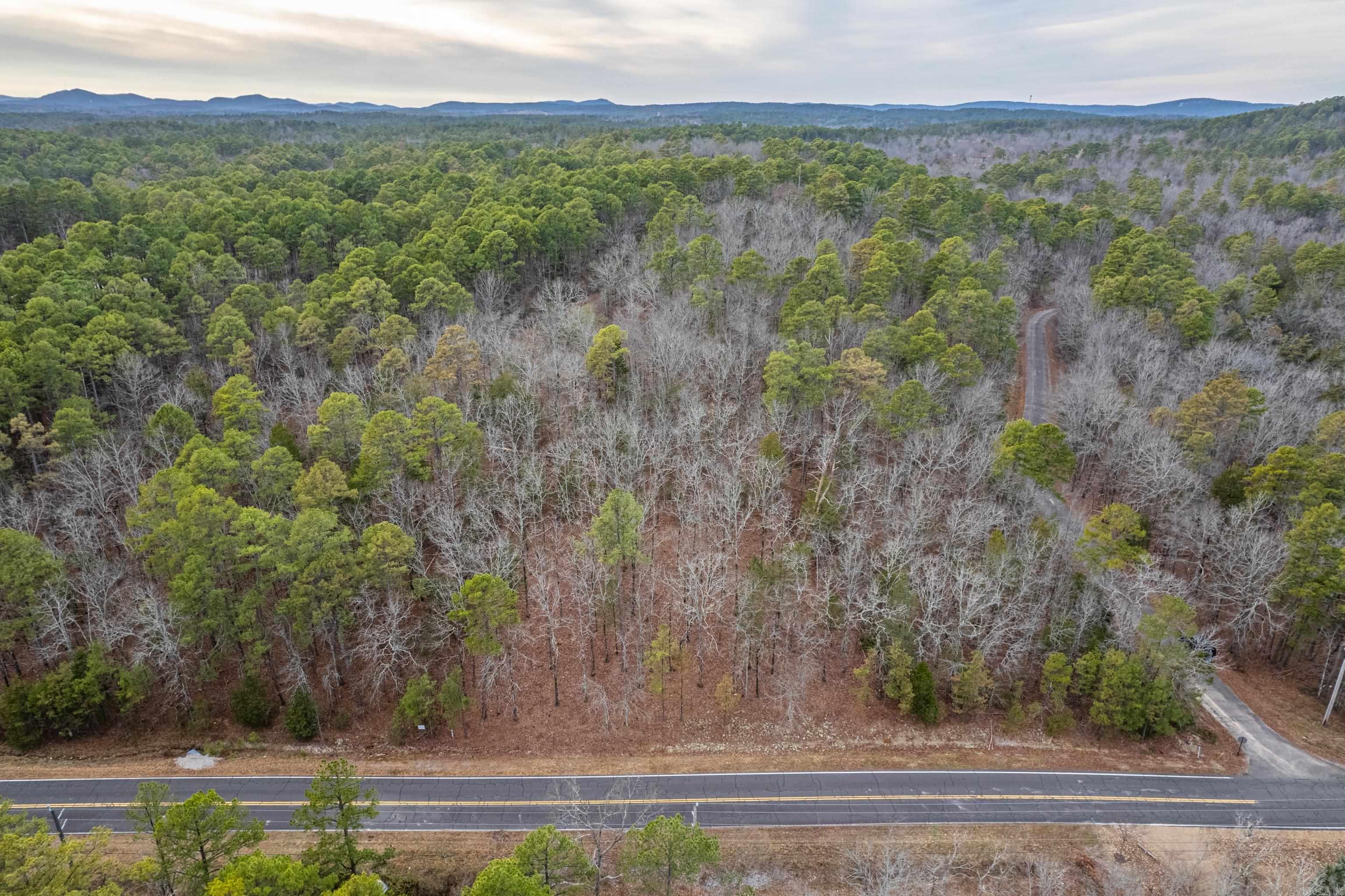 26  Levantino  Hot Springs Village, AR