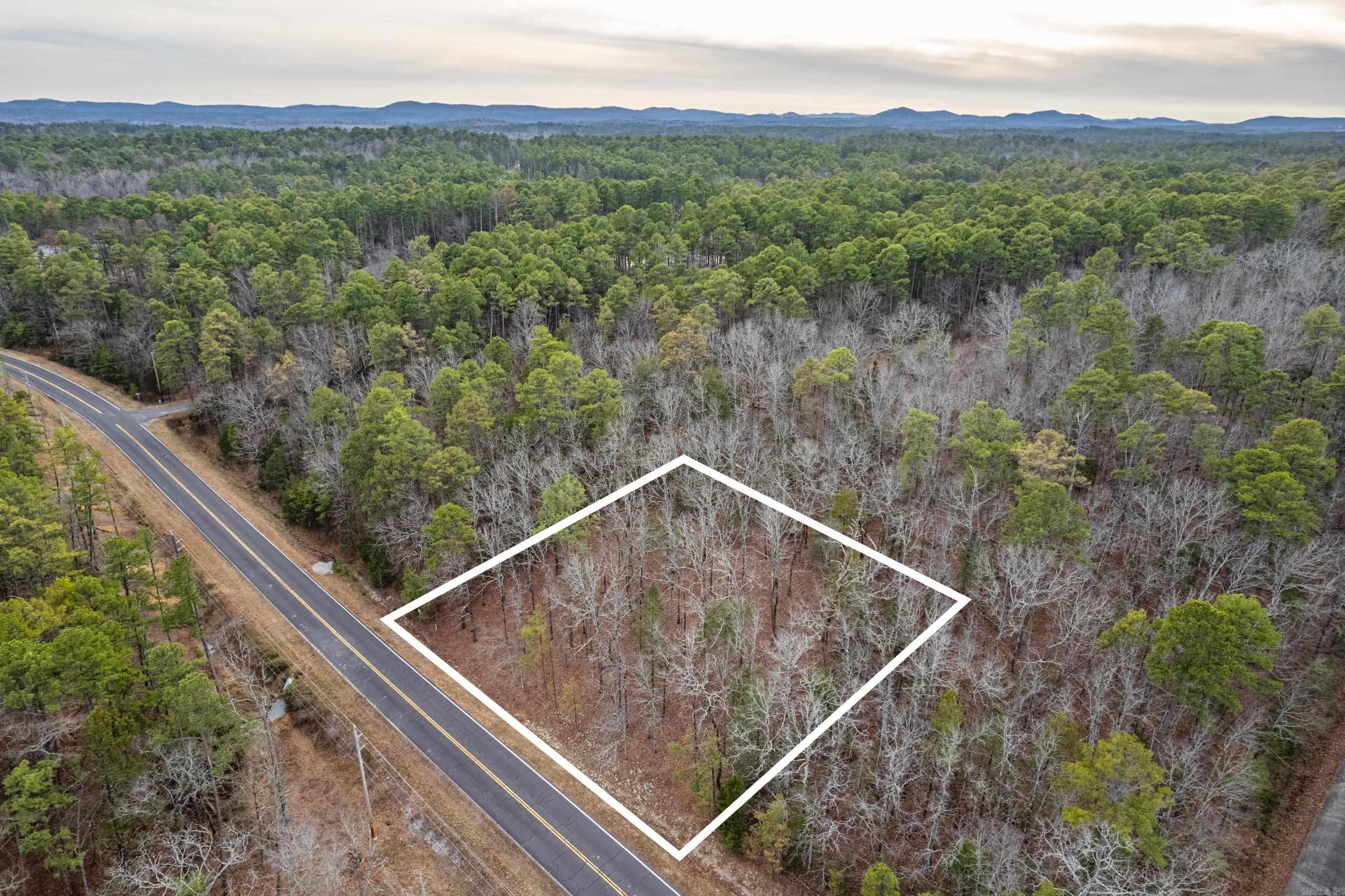 26  Levantino  Hot Springs Village, AR