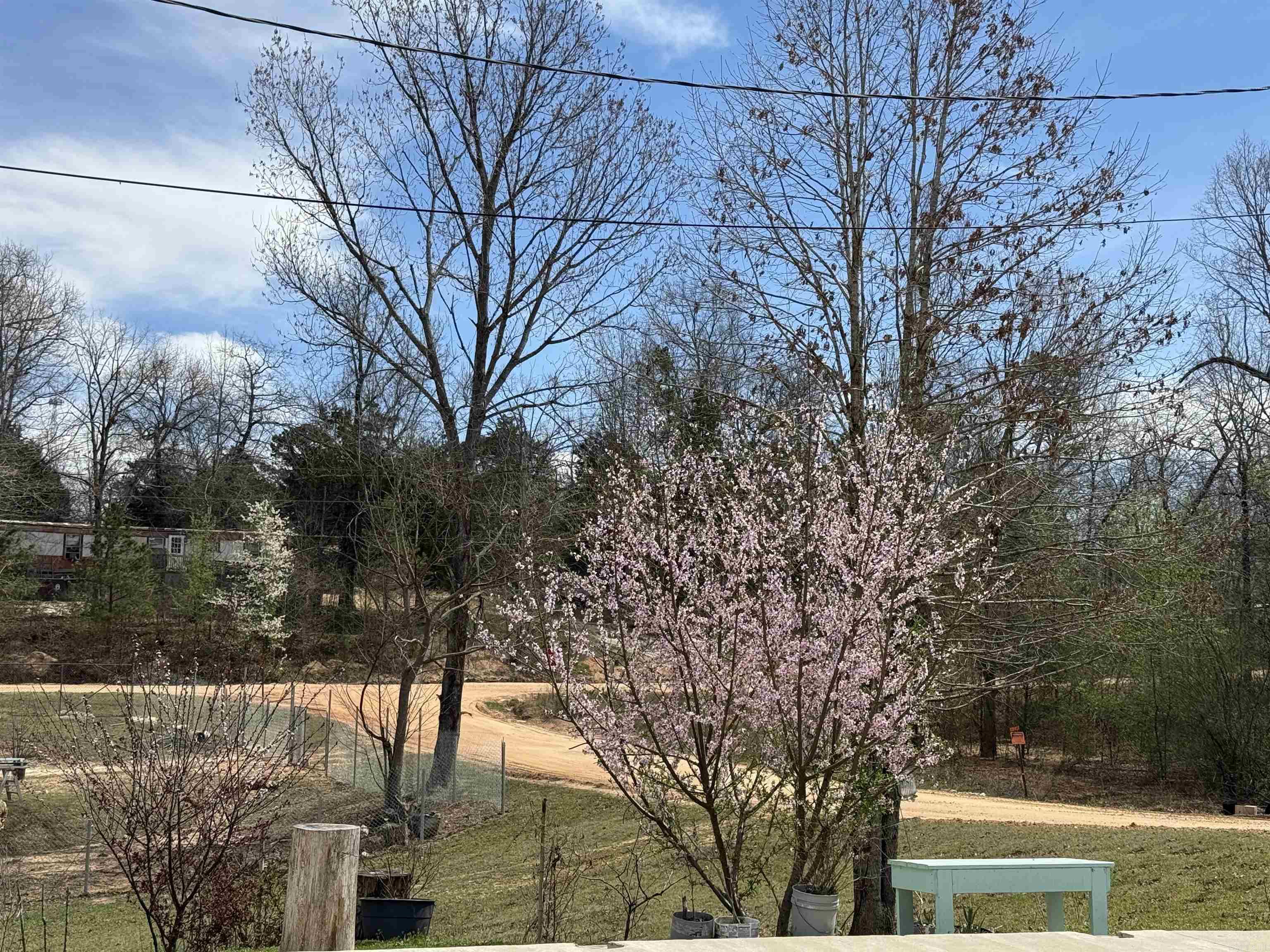 3010 McPherson Ridge Drive Mabelvale, AR 72103