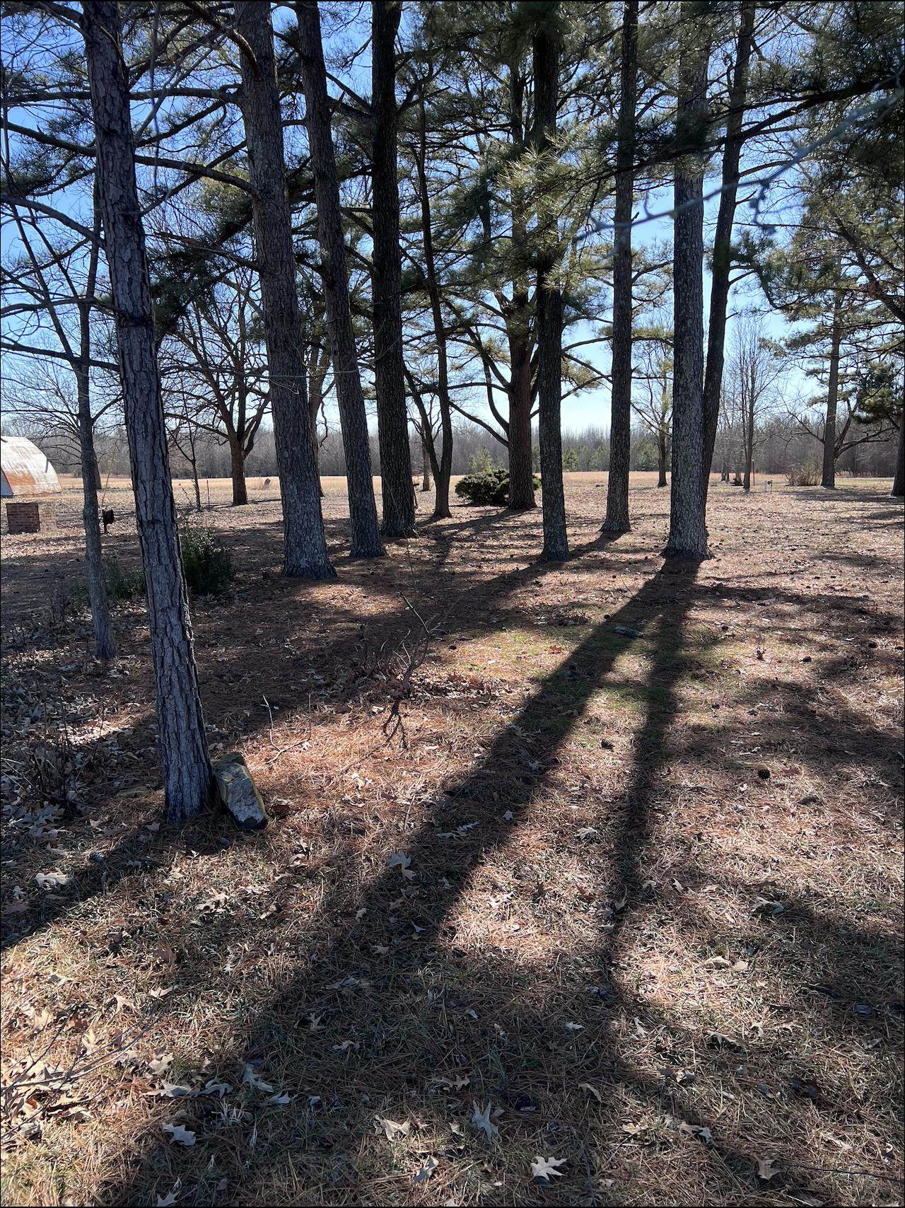 303  Daybreak  Jonesboro, AR
