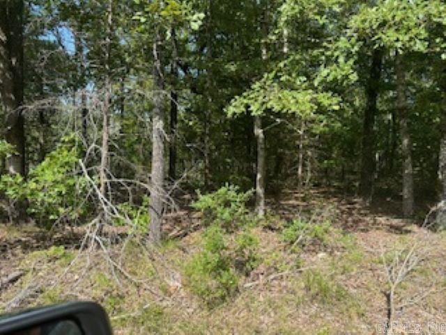 00  Wideman  Calico Rock, AR