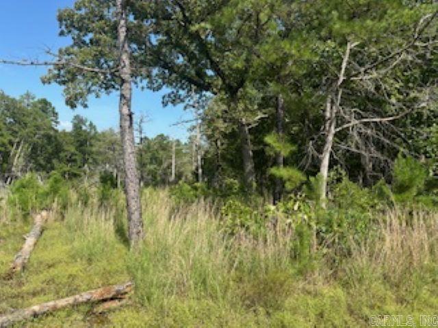 00  Wideman  Calico Rock, AR