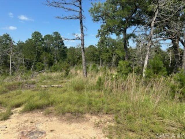 00  Wideman  Calico Rock, AR