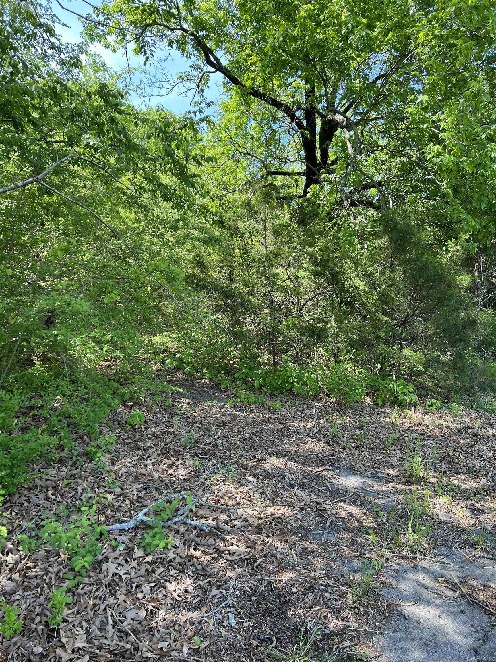508 N Center  Heber Springs, AR