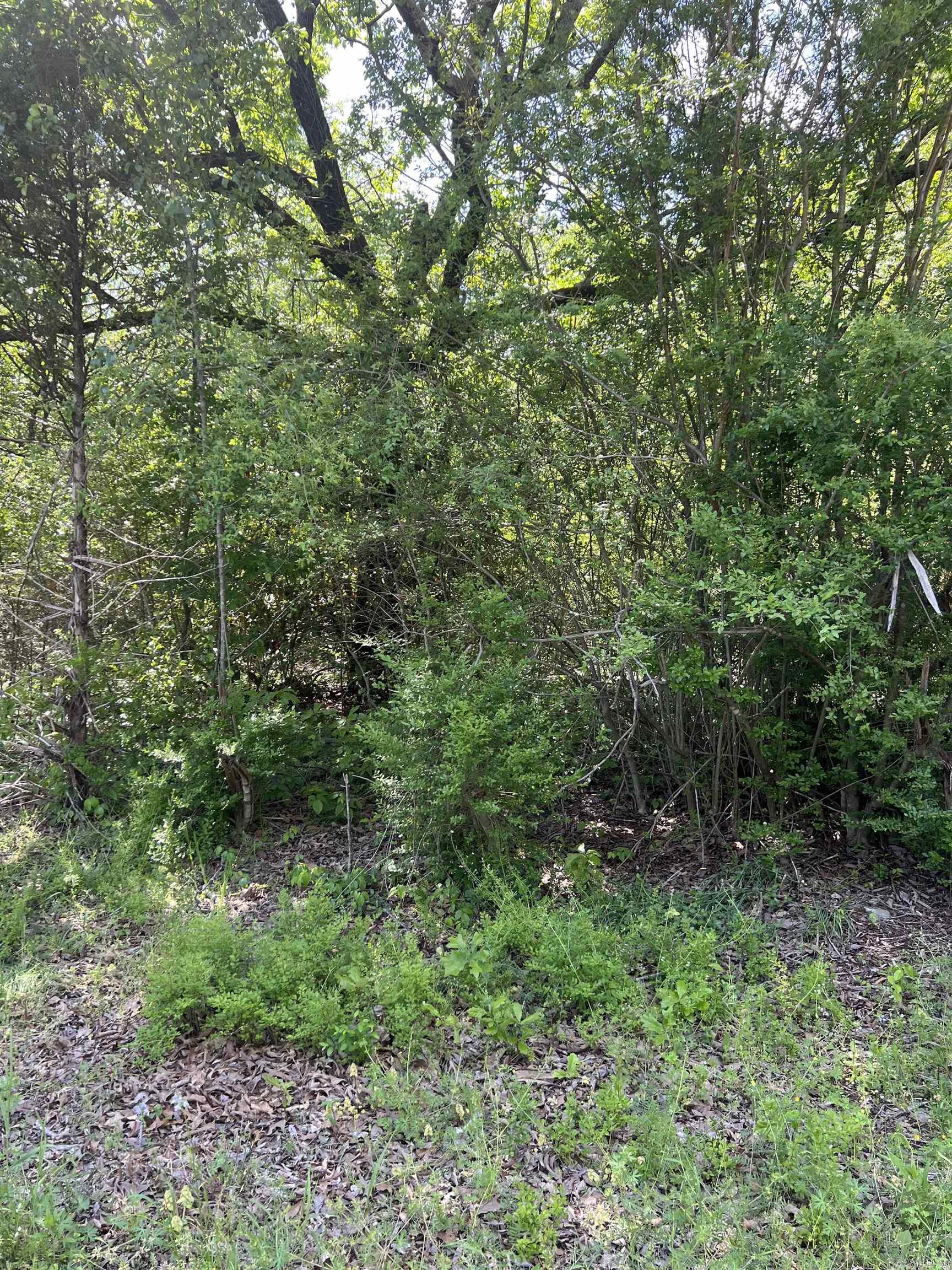 508 N Center  Heber Springs, AR