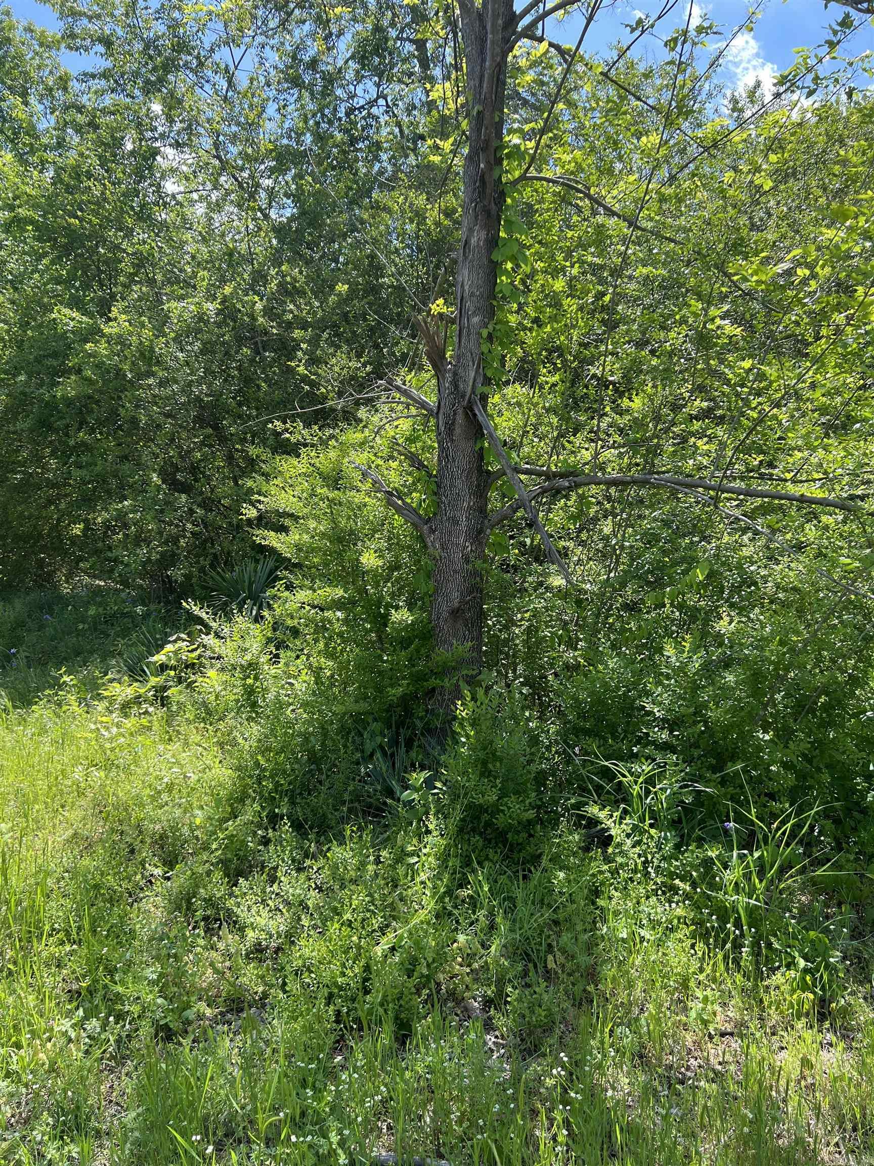 508 N Center  Heber Springs, AR