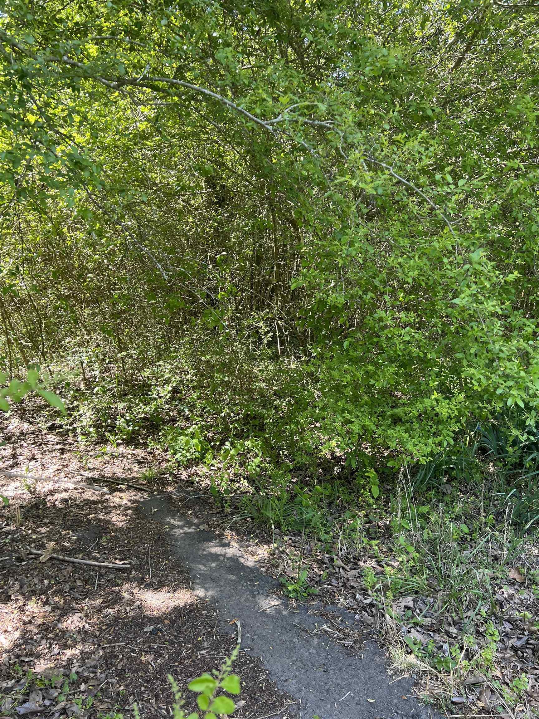 508 N Center  Heber Springs, AR