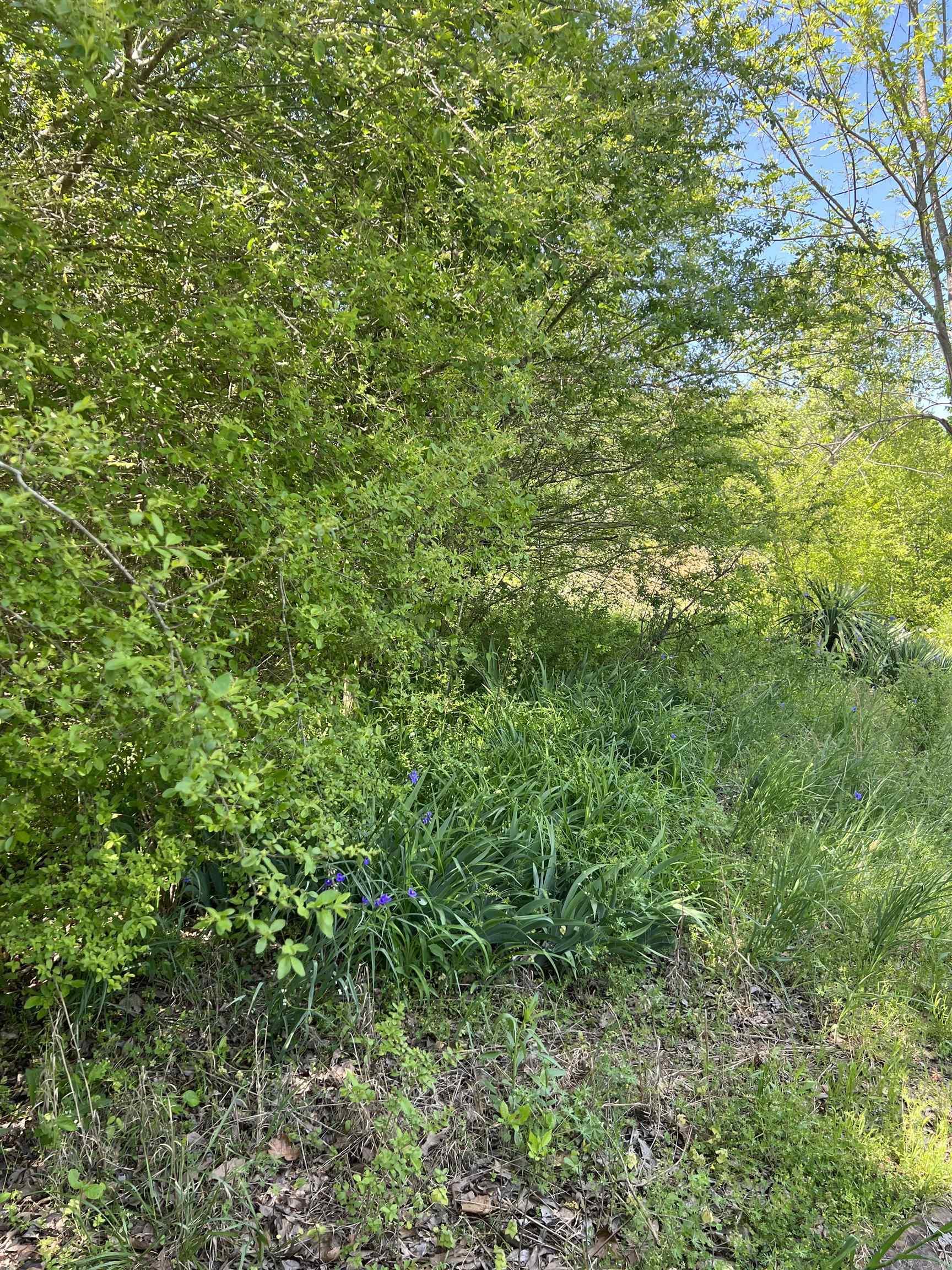 508 N Center  Heber Springs, AR