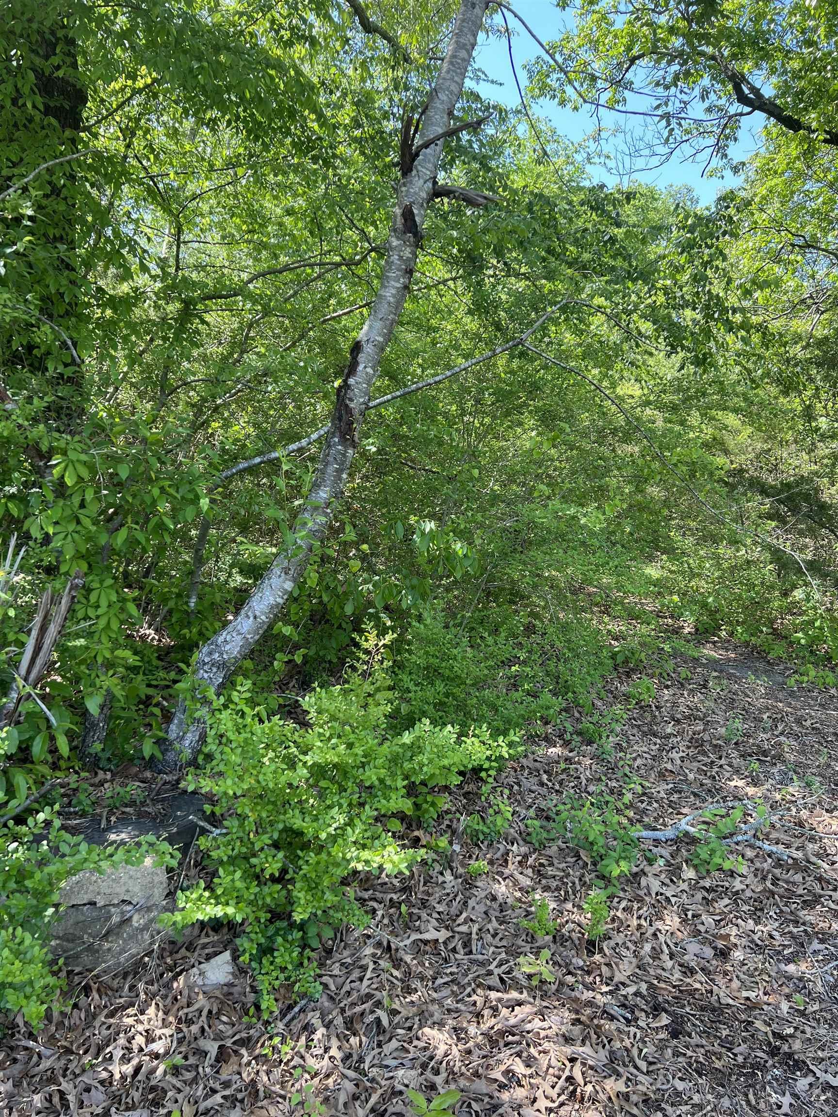 508 N Center  Heber Springs, AR