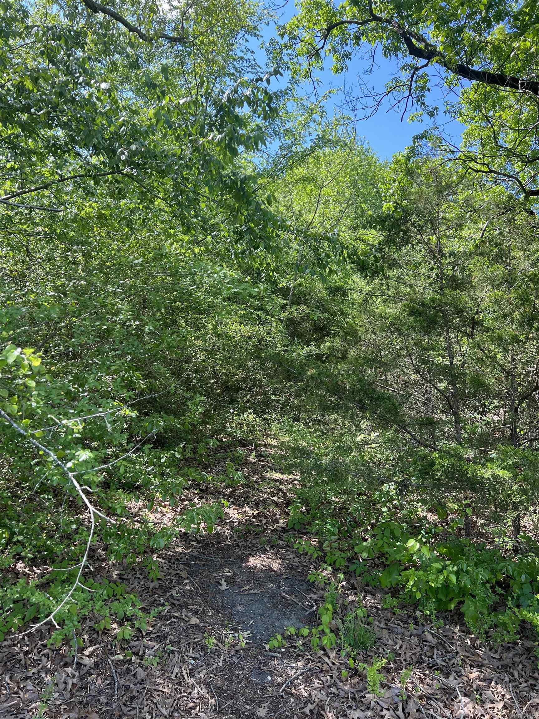 508 N Center  Heber Springs, AR