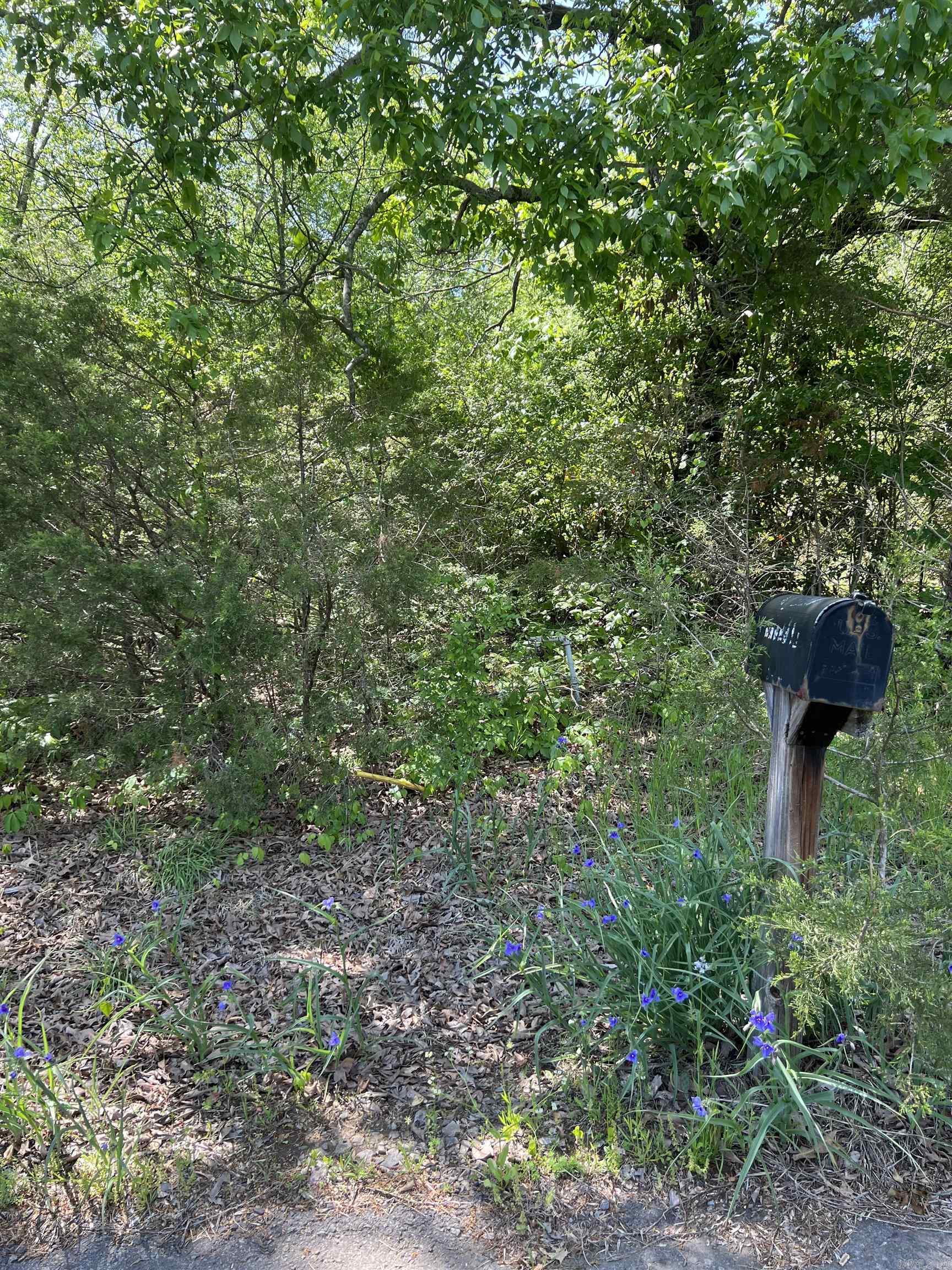 508 N Center  Heber Springs, AR