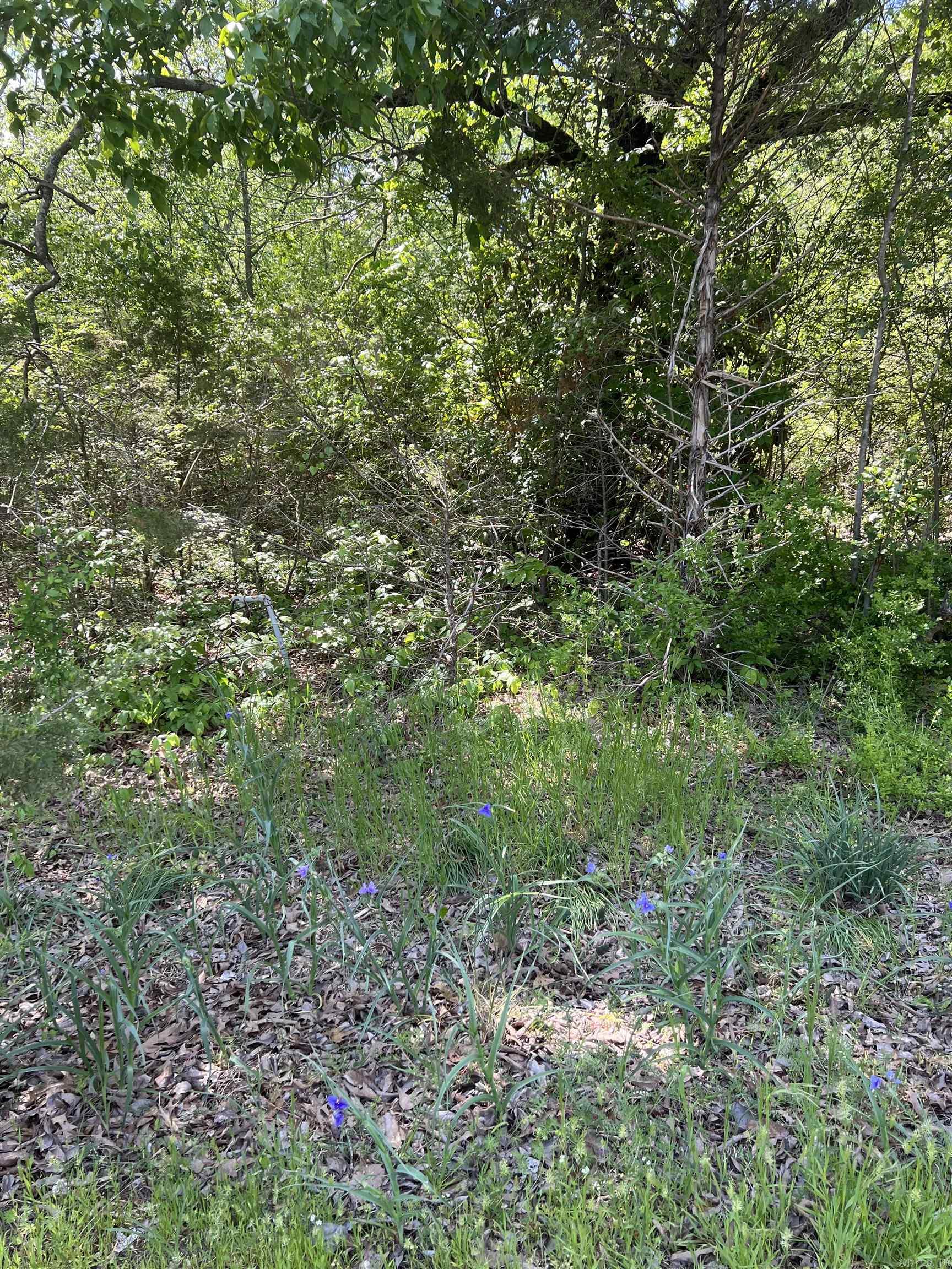 508 N Center  Heber Springs, AR