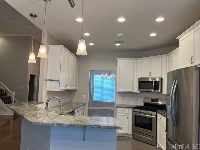 131  Coneflower  Hot Springs, AR