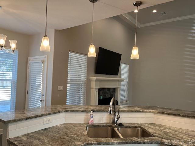 131  Coneflower  Hot Springs, AR
