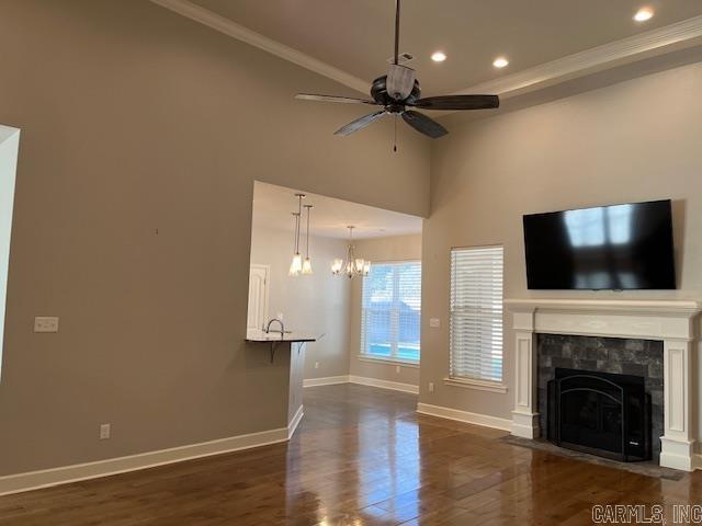 131  Coneflower  Hot Springs, AR