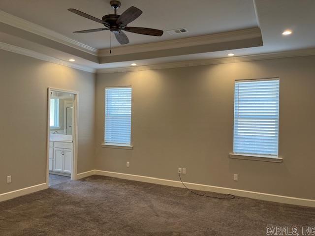 131  Coneflower  Hot Springs, AR