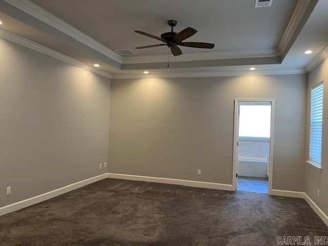 131  Coneflower  Hot Springs, AR