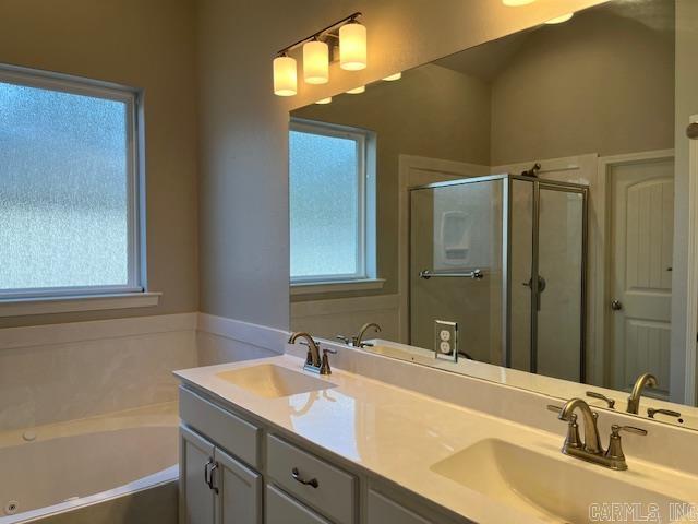 131  Coneflower  Hot Springs, AR