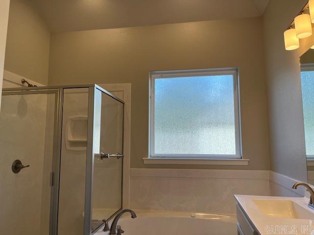 131  Coneflower  Hot Springs, AR