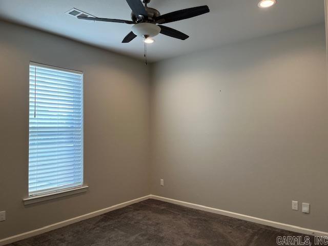 131  Coneflower  Hot Springs, AR