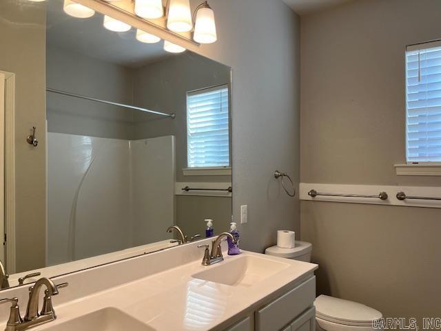 131  Coneflower  Hot Springs, AR