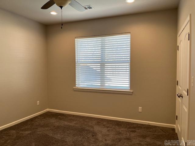 131  Coneflower  Hot Springs, AR