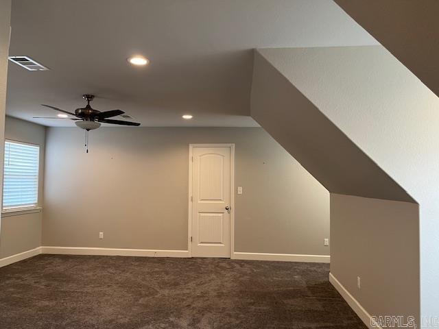 131  Coneflower  Hot Springs, AR