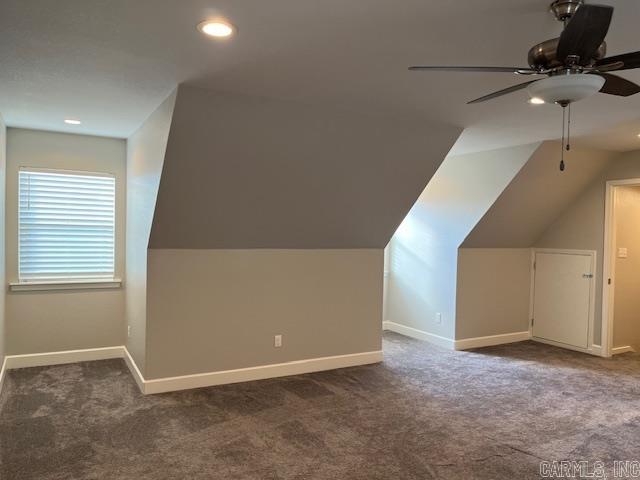 131  Coneflower  Hot Springs, AR