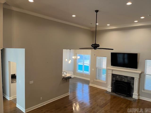 131  Coneflower  Hot Springs, AR