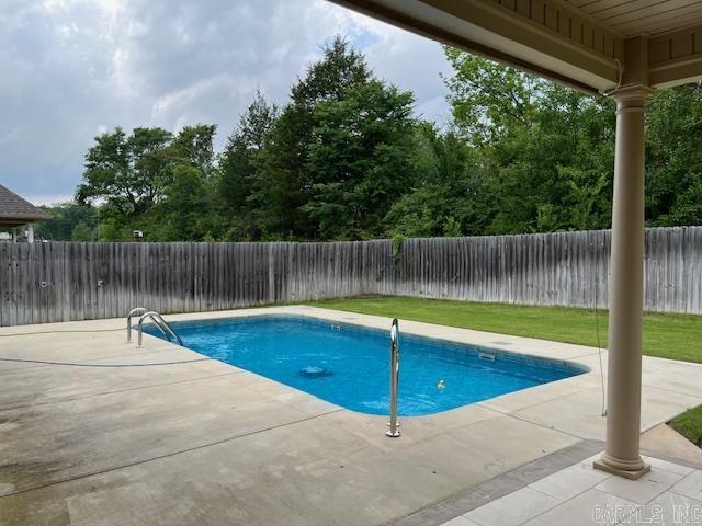 131  Coneflower  Hot Springs, AR