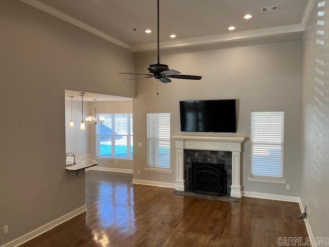 131  Coneflower  Hot Springs, AR