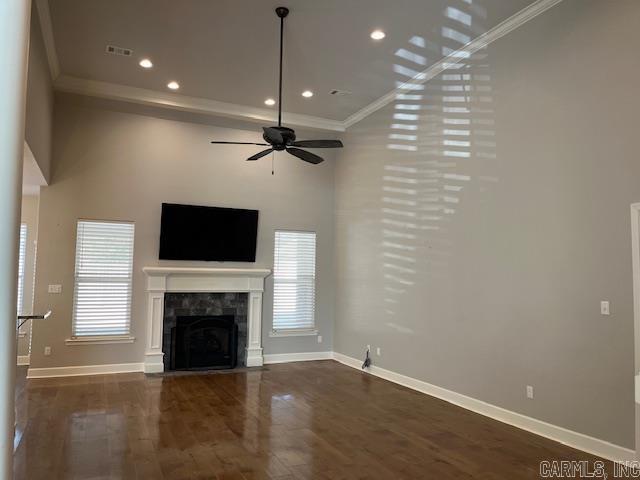 131  Coneflower  Hot Springs, AR