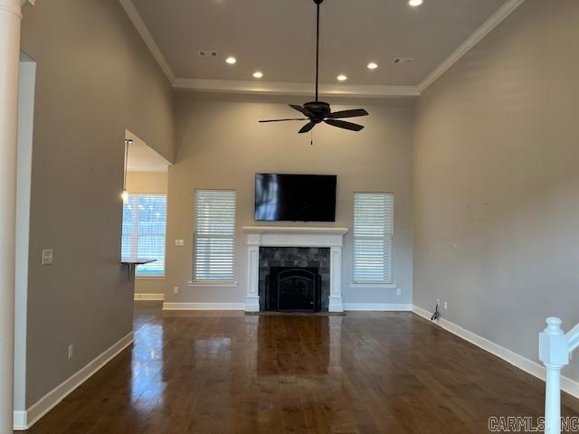 131  Coneflower  Hot Springs, AR