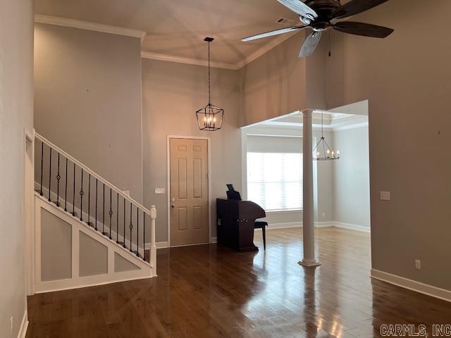 131  Coneflower  Hot Springs, AR