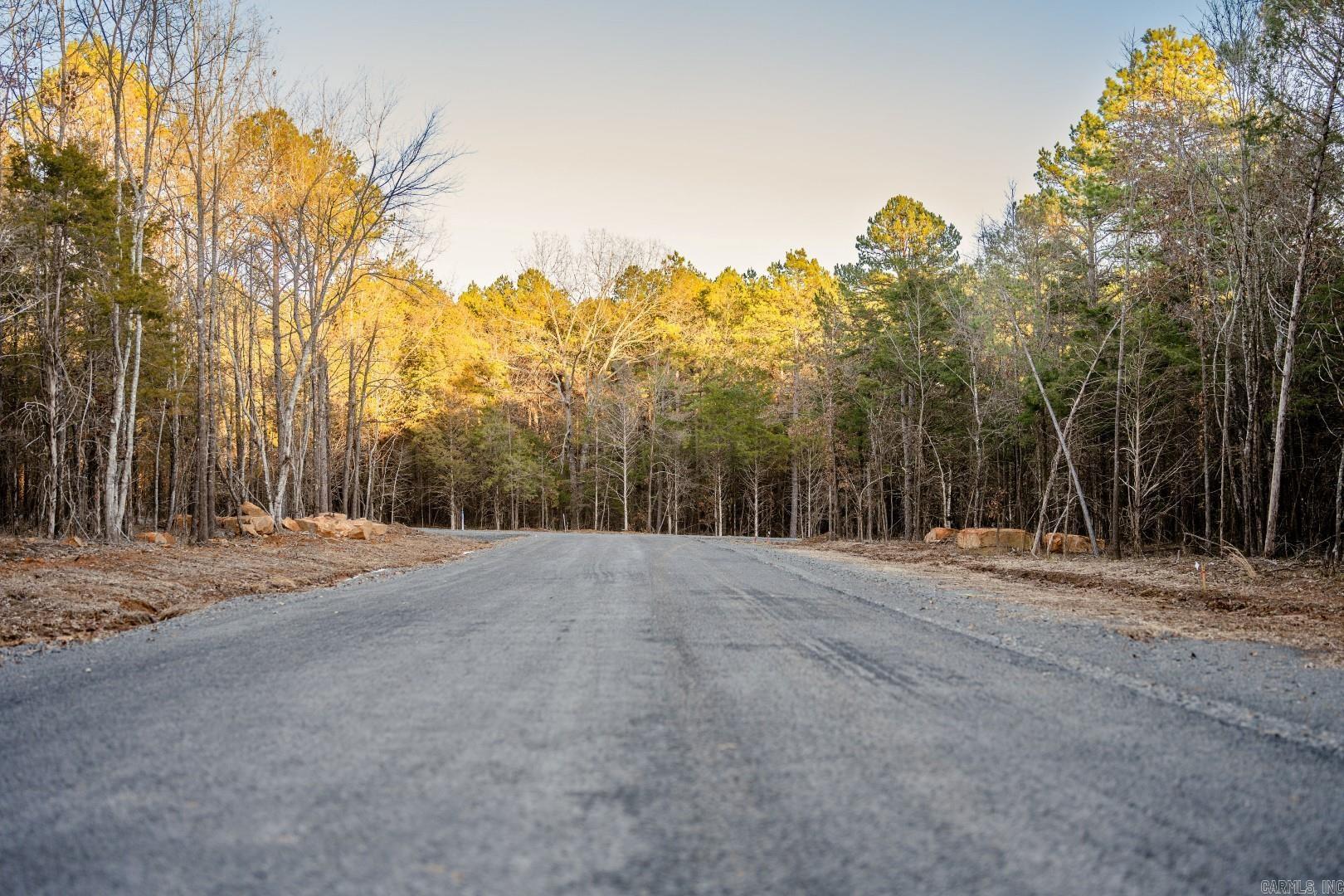 Lot 21  Vida Del Lago Subdivision  Greers Ferry, AR