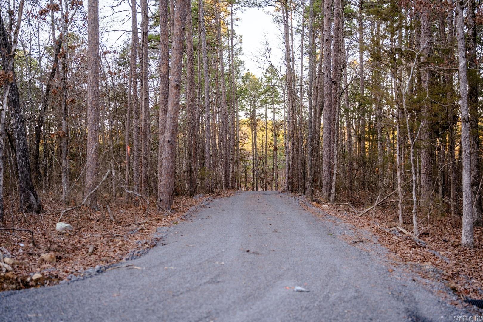 Lot 8  Vida Del Lago Subdivision  Greers Ferry, AR