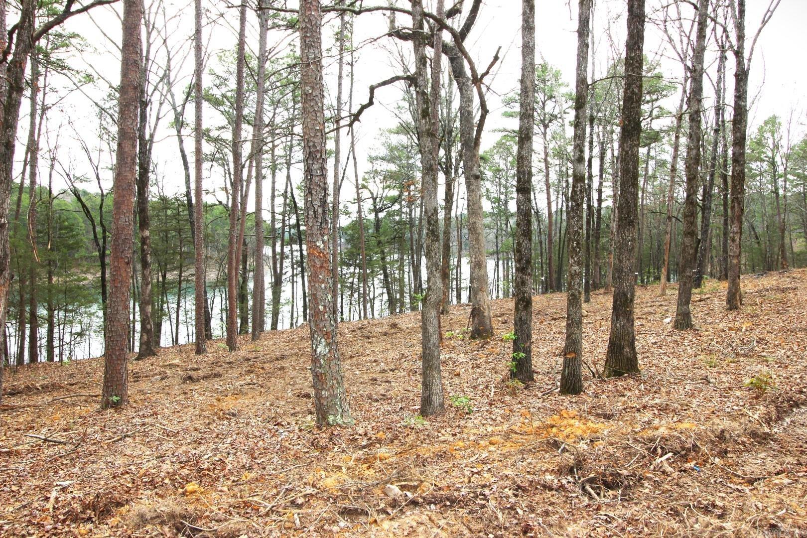 Lot 8  Vida Del Lago Subdivision  Greers Ferry, AR