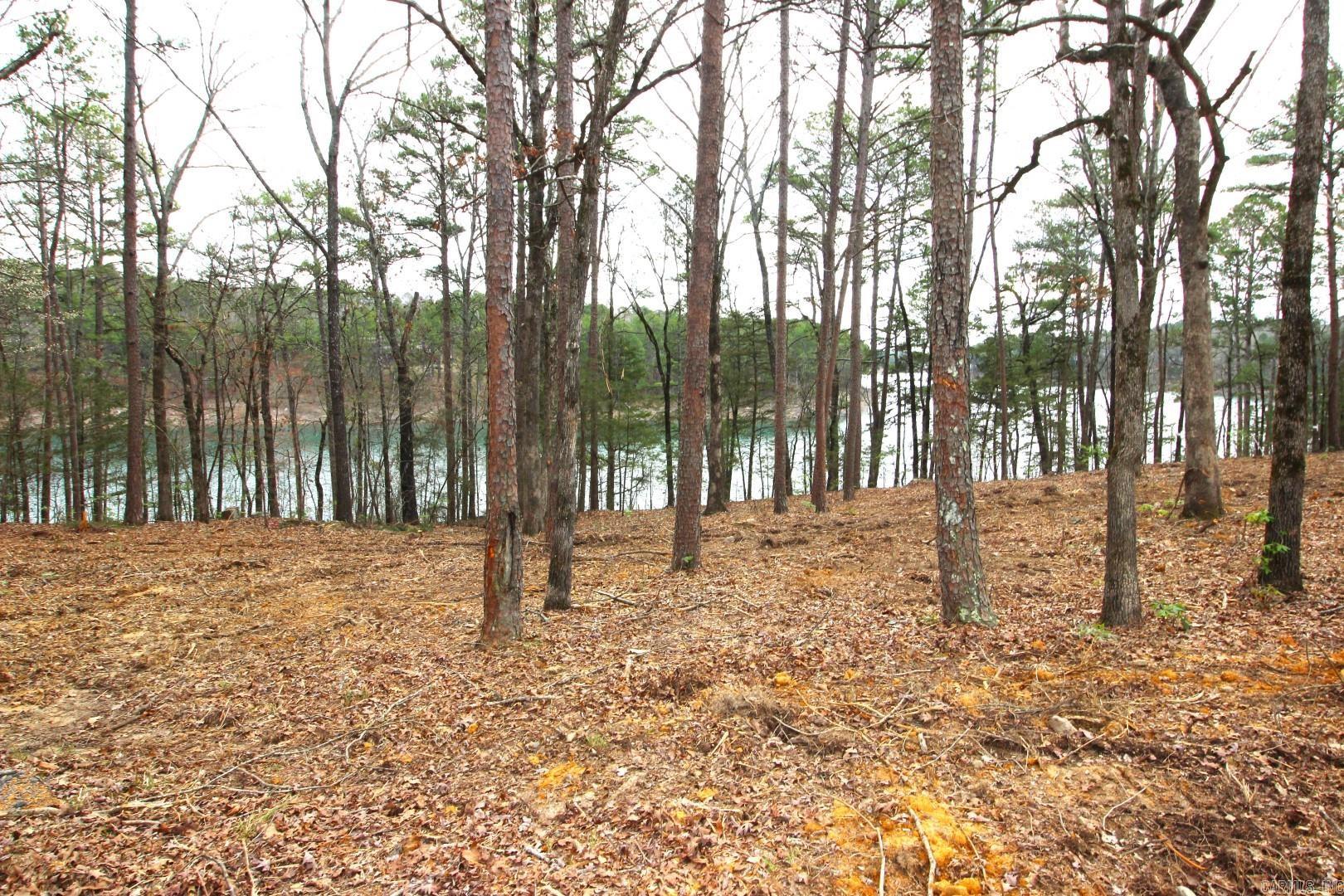 Lot 8  Vida Del Lago Subdivision  Greers Ferry, AR