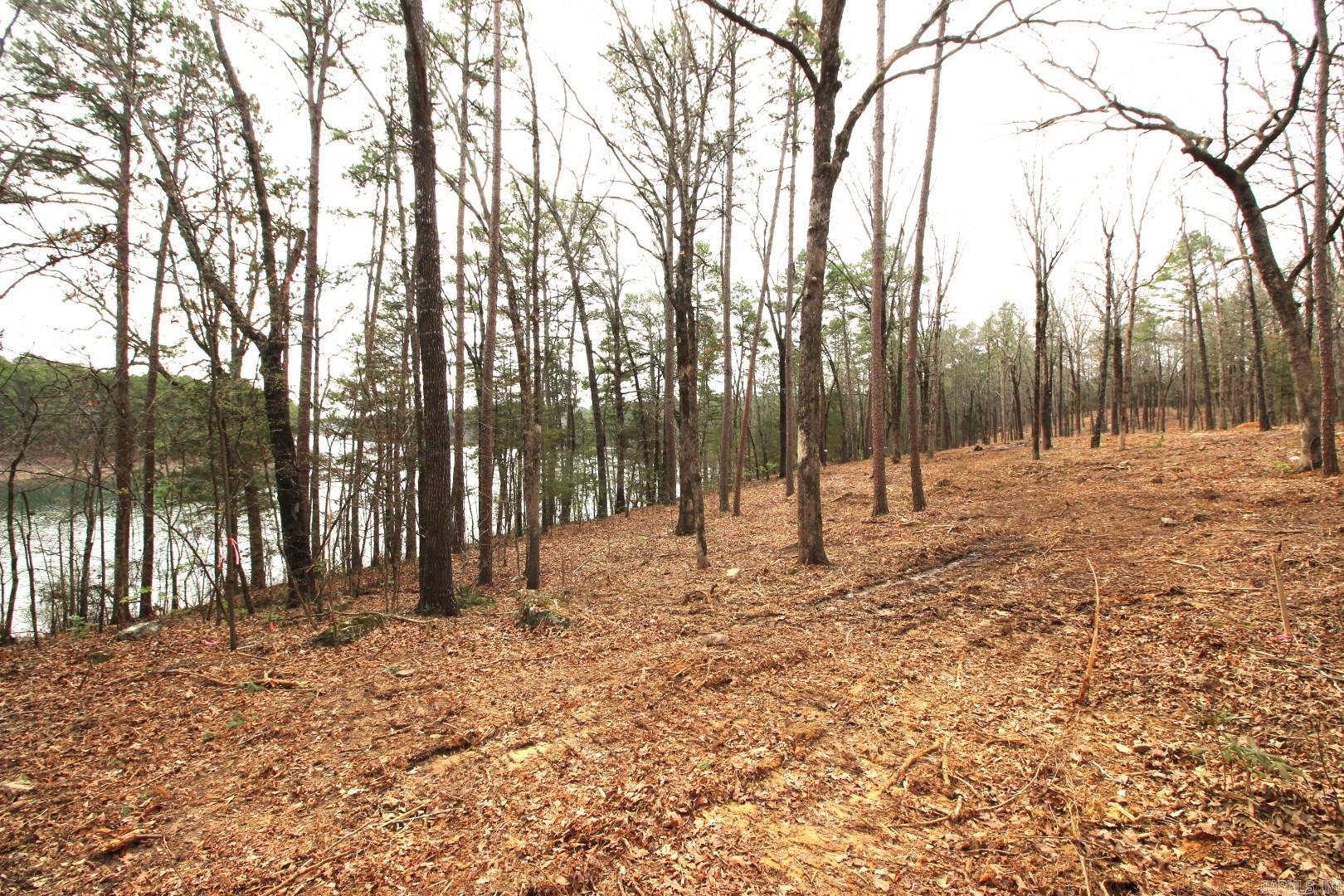 Lot 8  Vida Del Lago Subdivision  Greers Ferry, AR