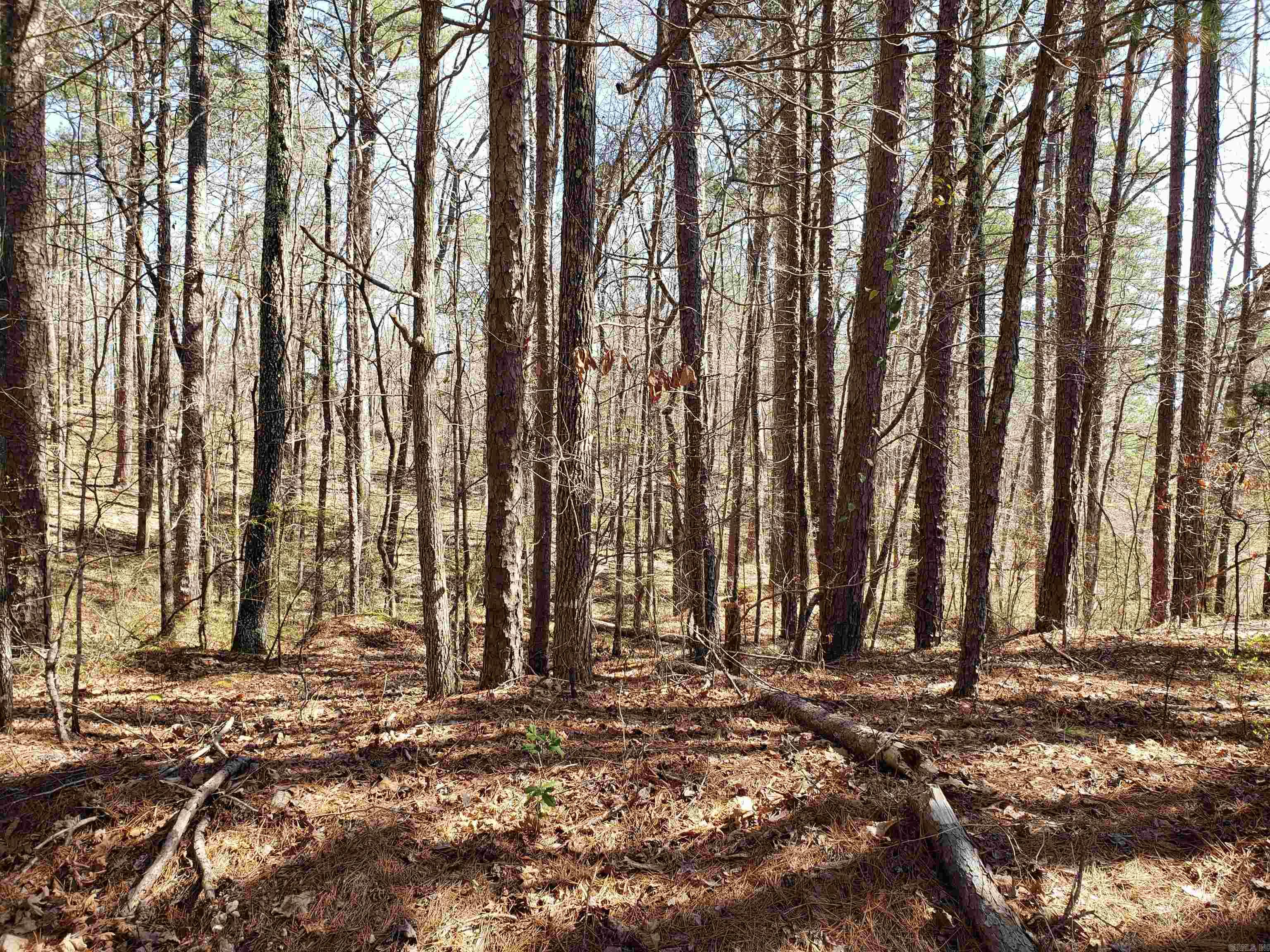 33  Caballero  Hot Springs Village, AR