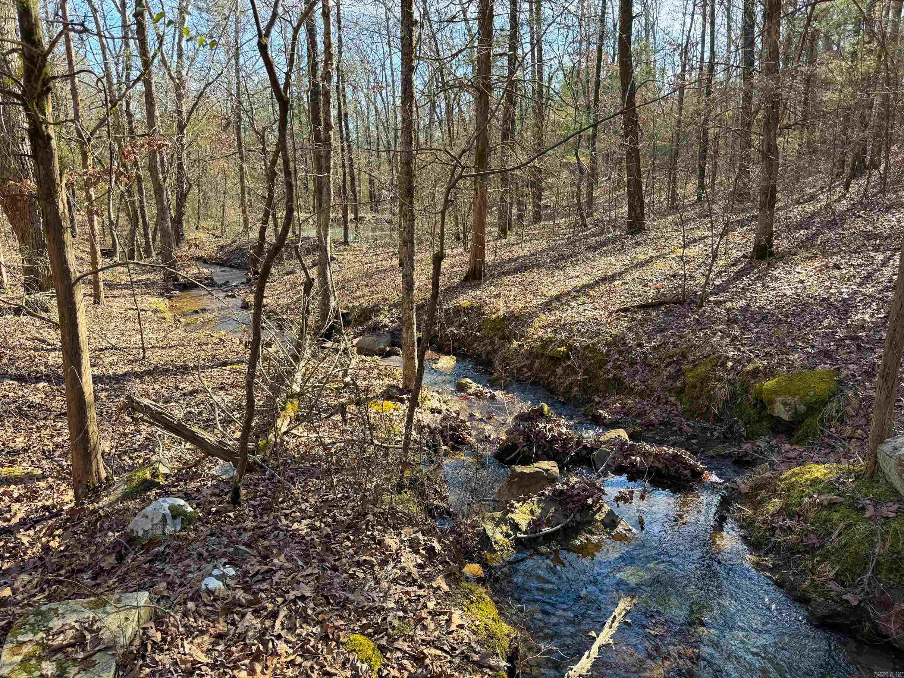 183  Old Springfield  Quitman, AR