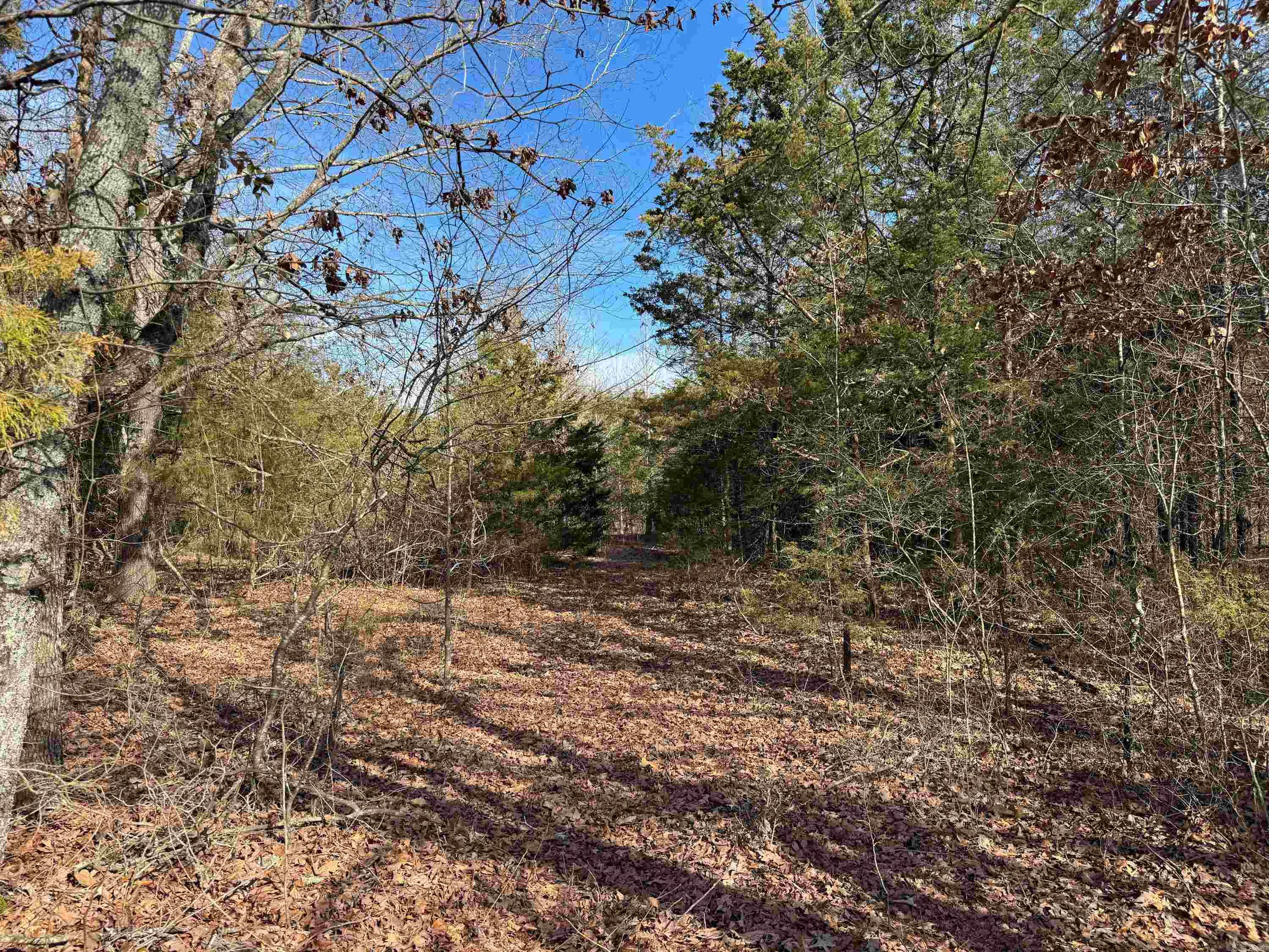 183  Old Springfield  Quitman, AR