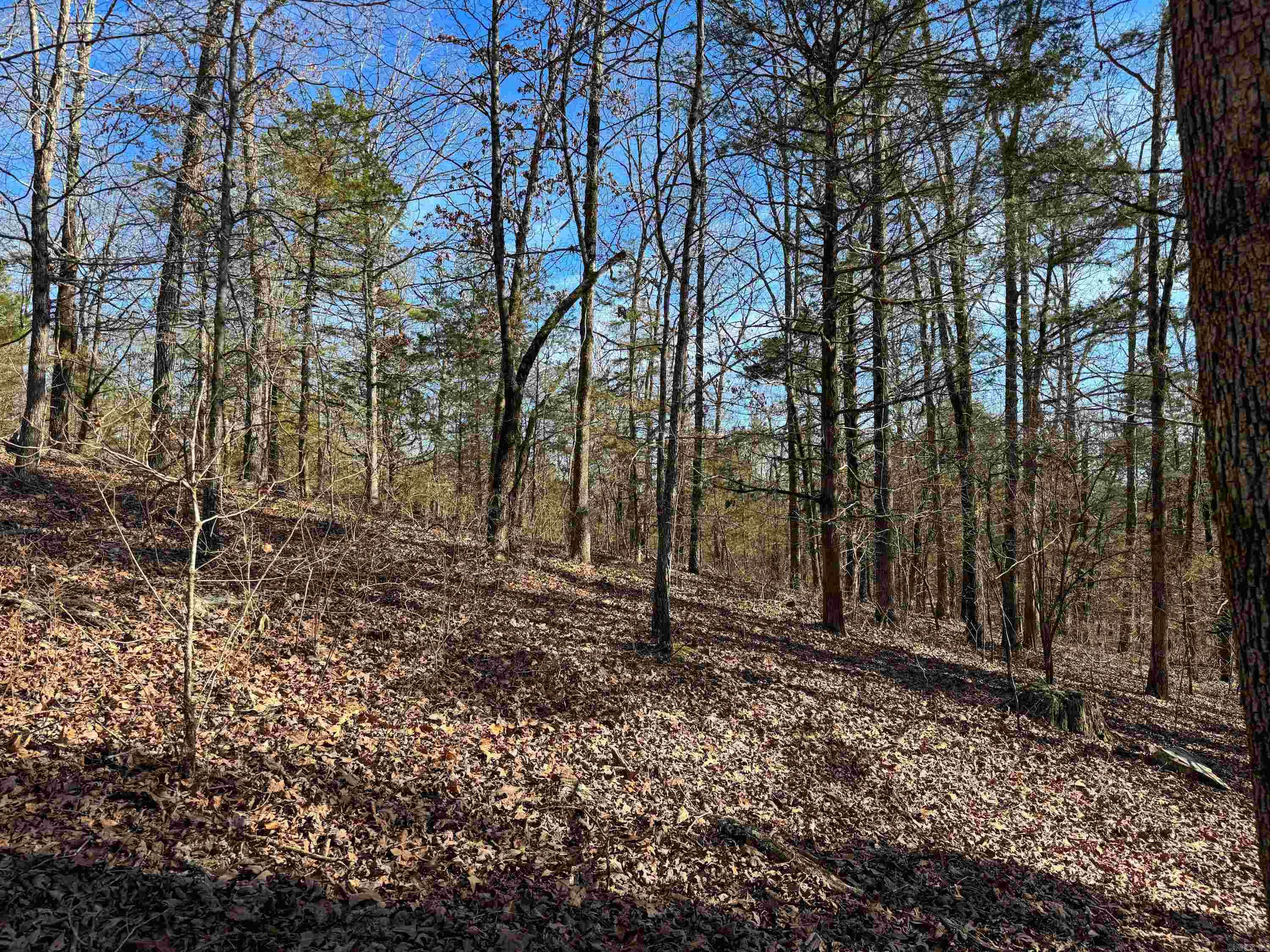 183  Old Springfield  Quitman, AR