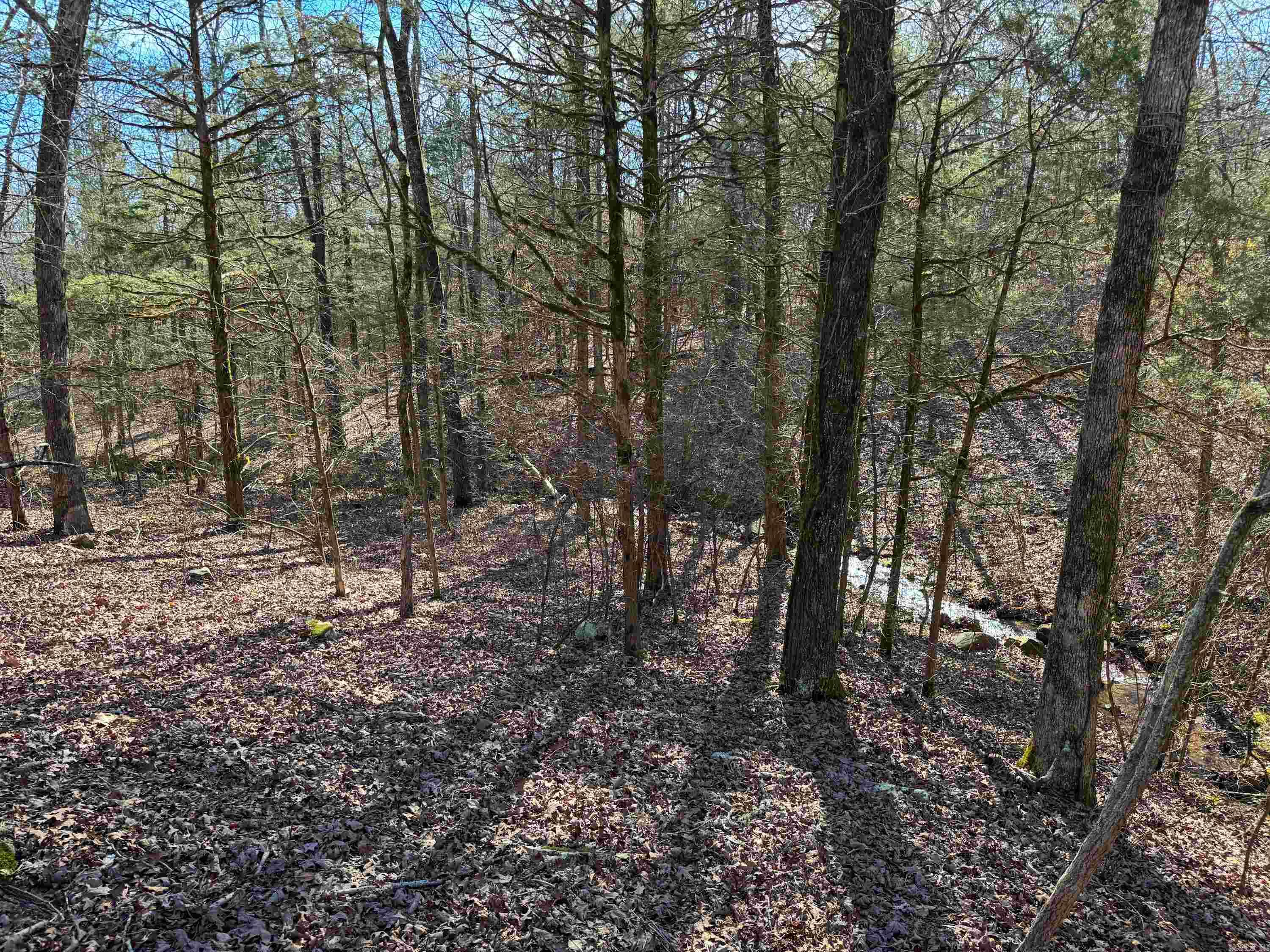 183  Old Springfield  Quitman, AR