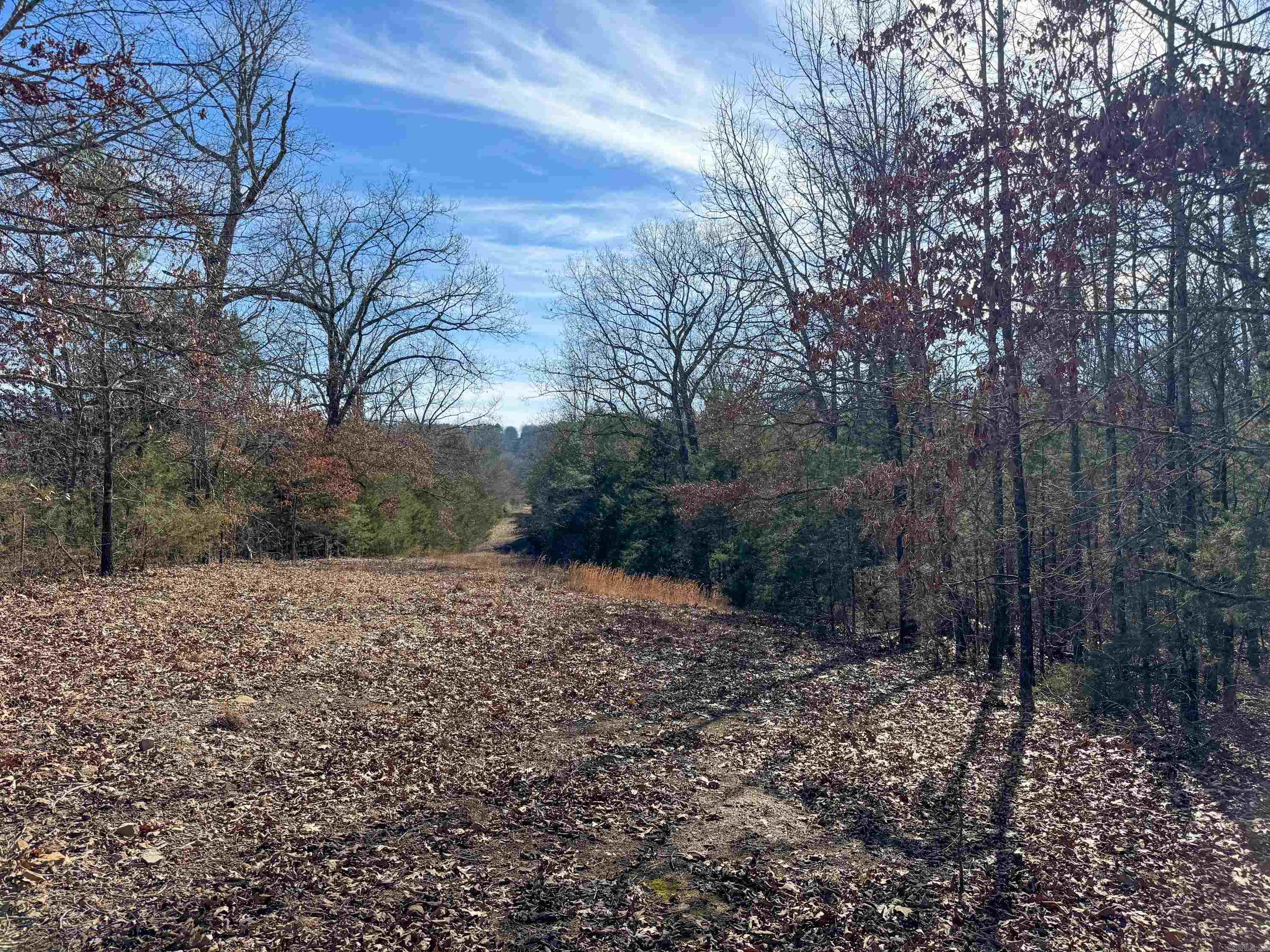 183  Old Springfield  Quitman, AR