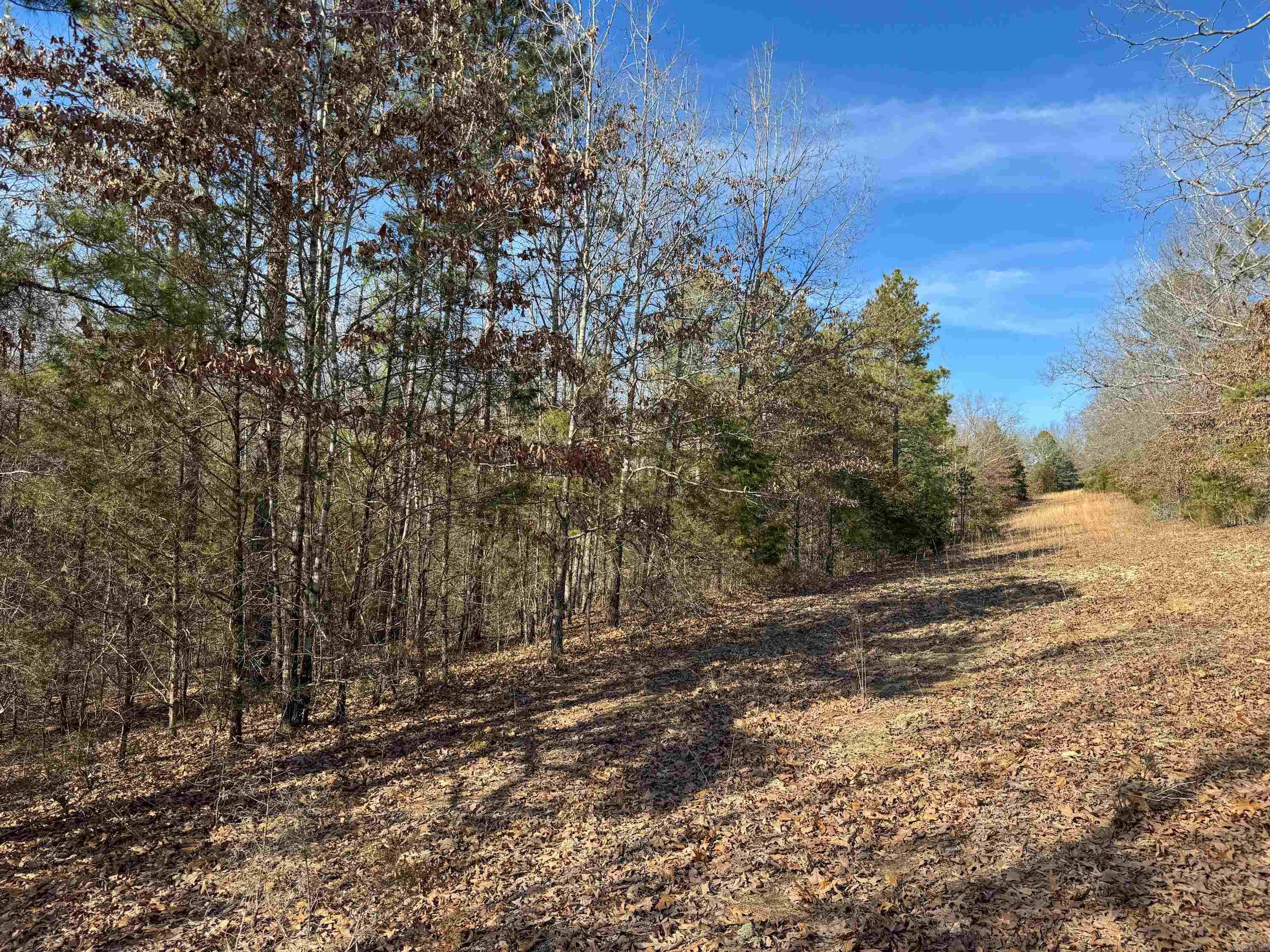 183  Old Springfield  Quitman, AR