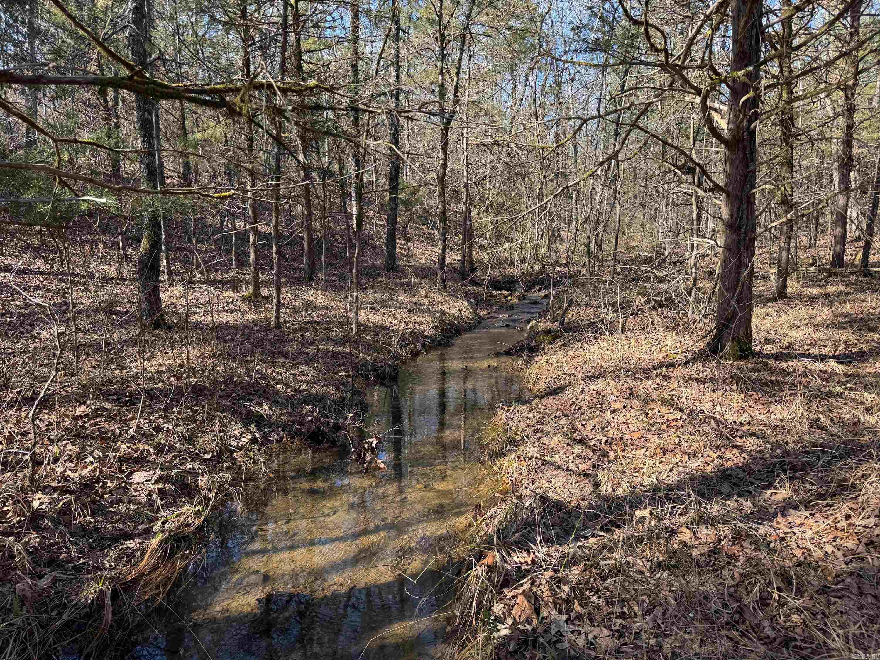 183  Old Springfield  Quitman, AR