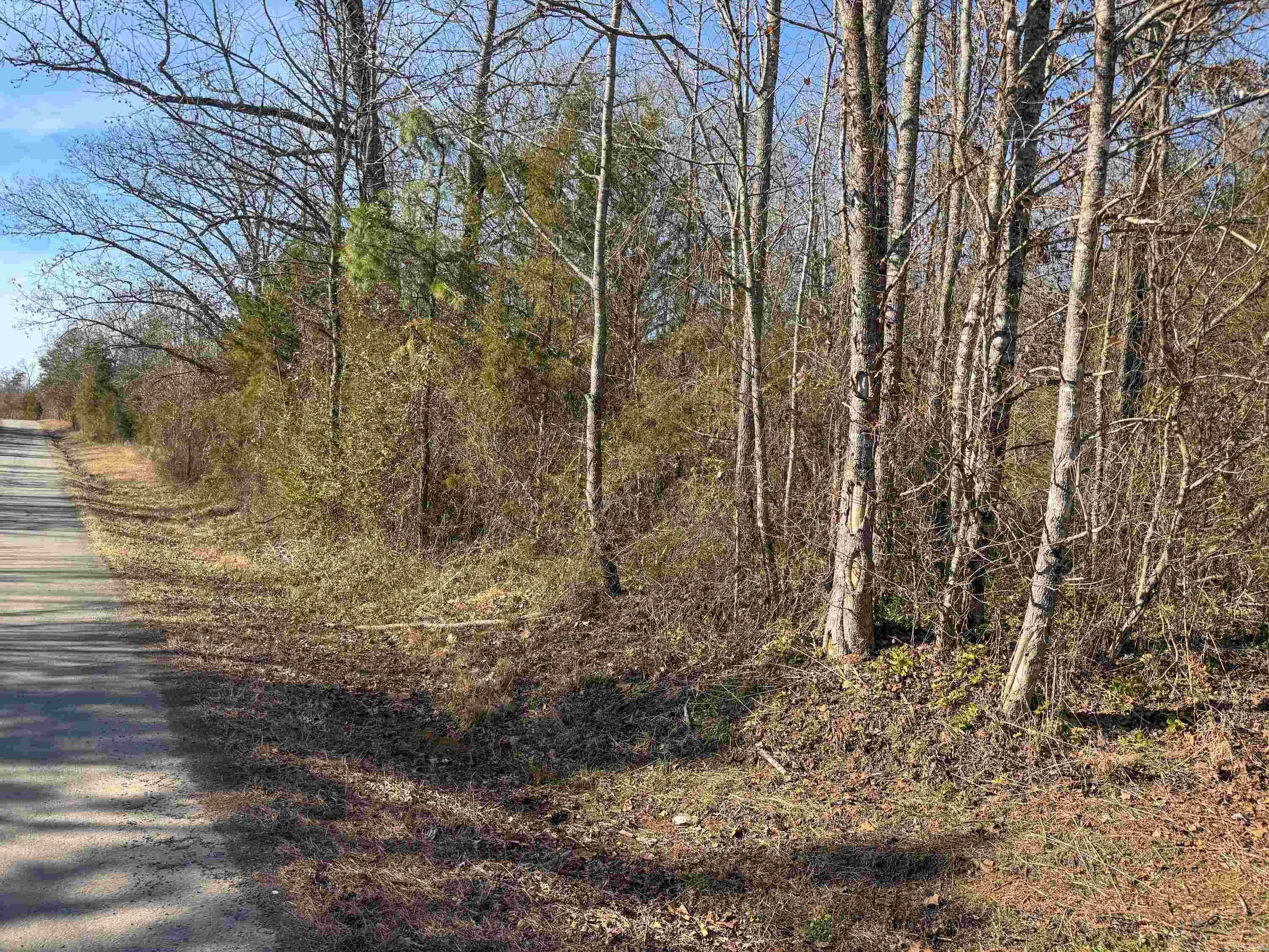 183  Old Springfield  Quitman, AR