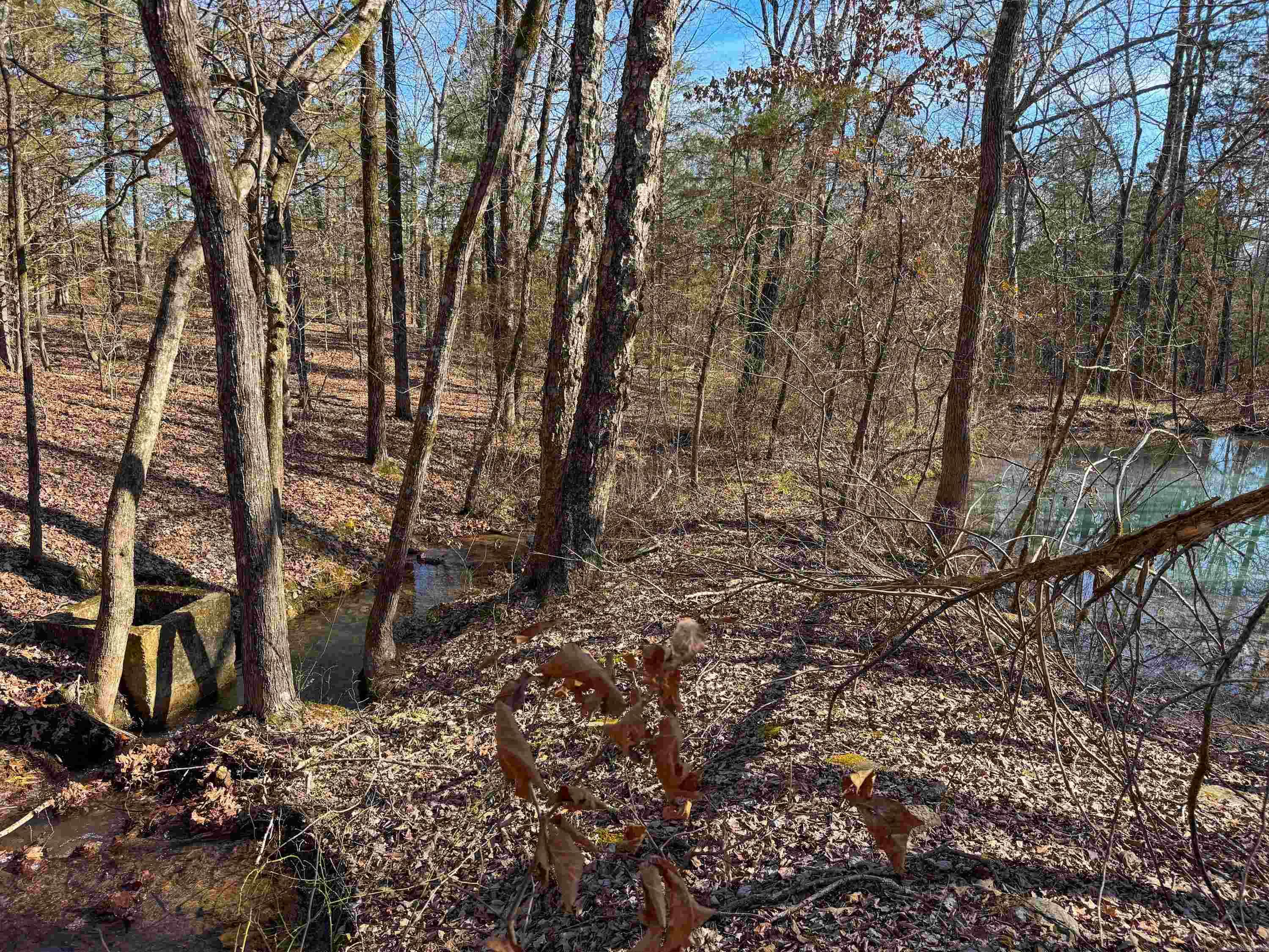 183  Old Springfield  Quitman, AR