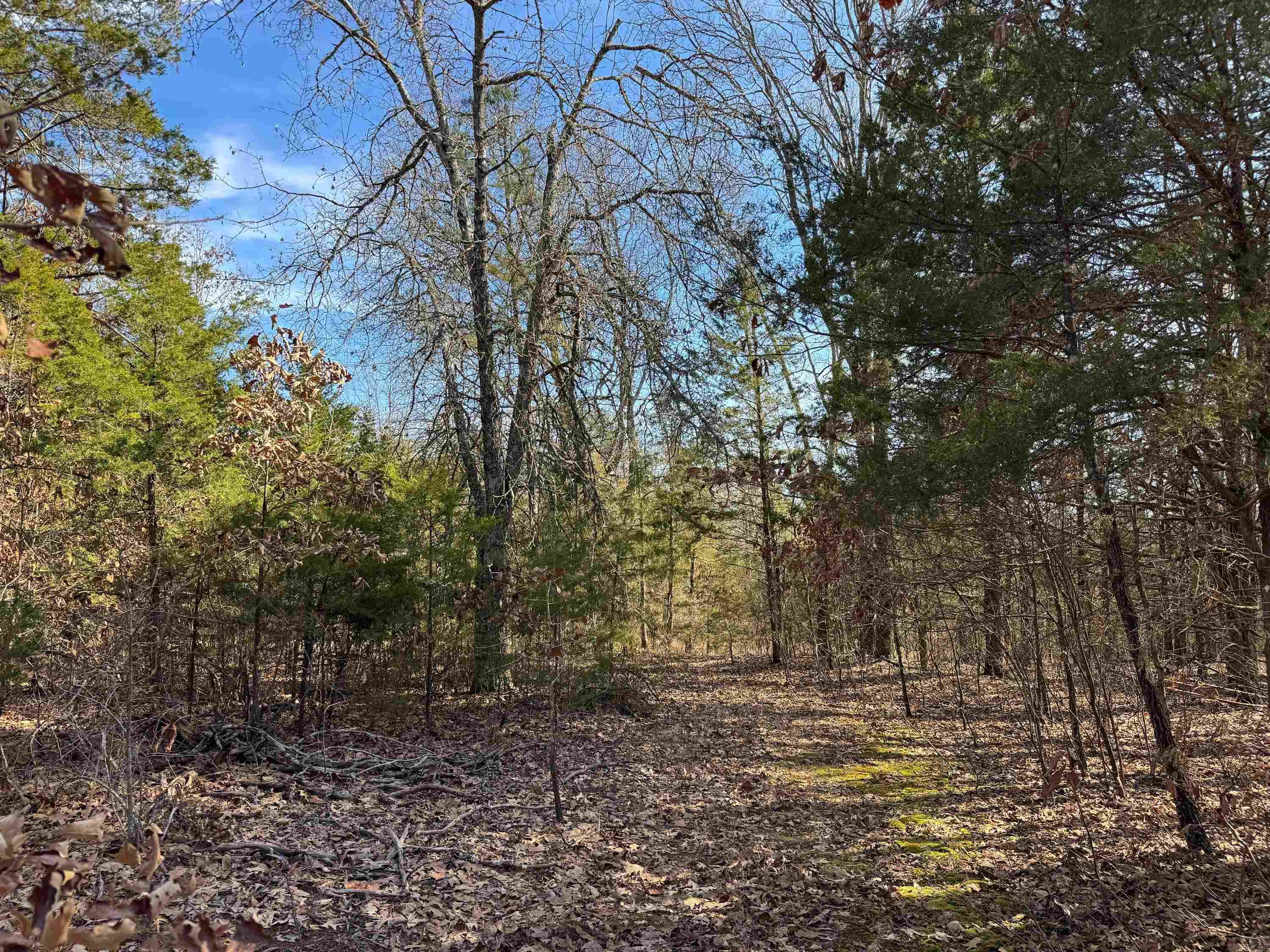 183  Old Springfield  Quitman, AR
